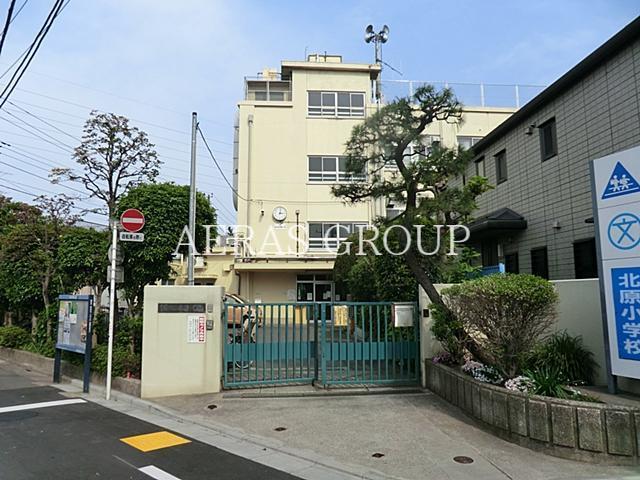 小学校　中野区立北原小学校（小学校）まで530m