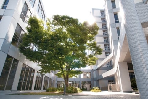 大学・短大　神戸女子大学?須磨キャンパス）（大学・短大）まで1462m