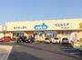 ドラックストア　ウエルシア堺上野芝店（ドラッグストア）まで199m