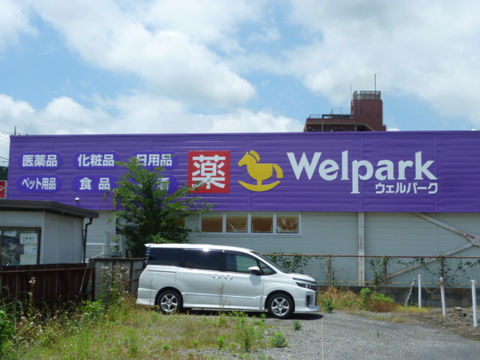 ドラックストア　ウェルパーク飯能稲荷町店（ドラッグストア）まで357m