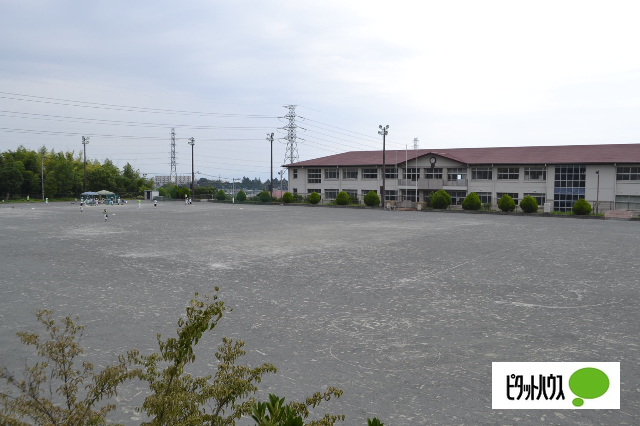 小学校　富士市立青葉台小学校（小学校）まで1246m