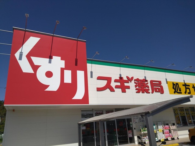 ドラックストア　スギ薬局 高林店（ドラッグストア）まで743m