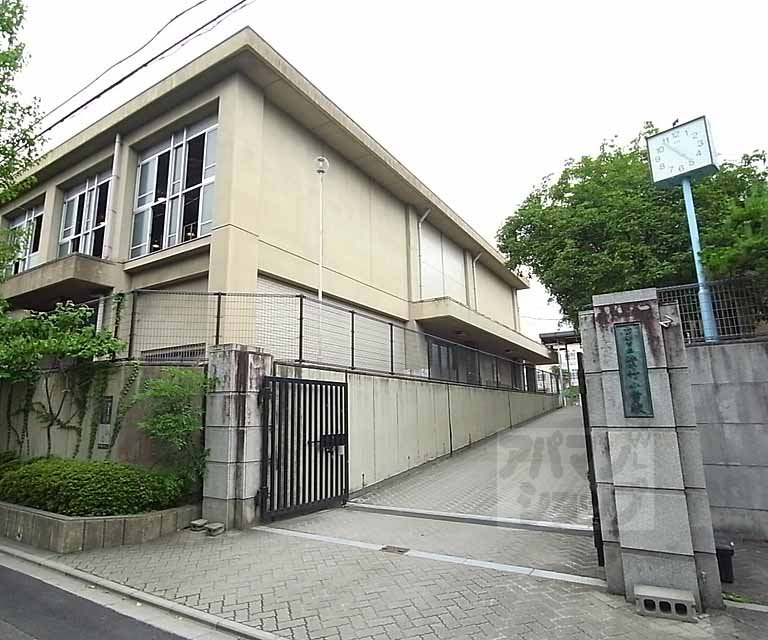 小学校　紫竹小学校（小学校）まで300m