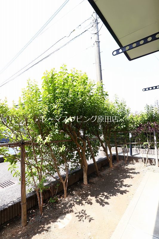 バルコニー　101号室写真