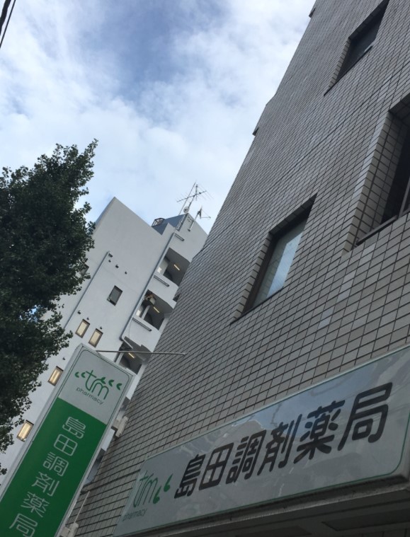 ドラックストア　島田調剤薬局（ドラッグストア）まで389m