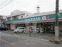 ドラックストア　ドラッグセイムス並木店（ドラッグストア）まで247m