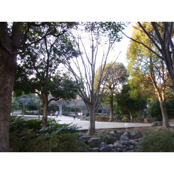 公園　平和の森公園（公園）まで80m
