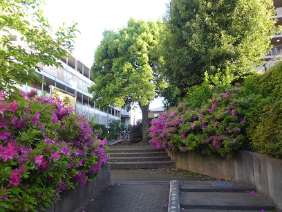 公園　中郷緑地（公園）まで1145m