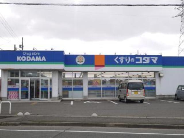 ドラックストア　クスリのコダマ新崎店（ドラッグストア）まで2709m