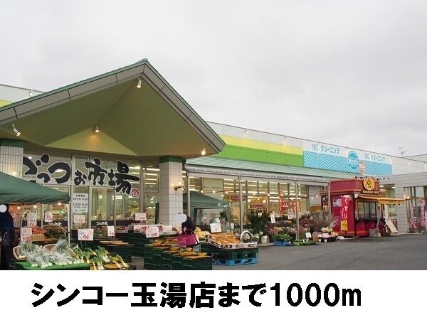 その他　シンコー（その他）まで1000m