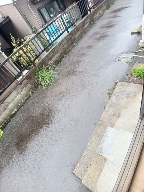 庭