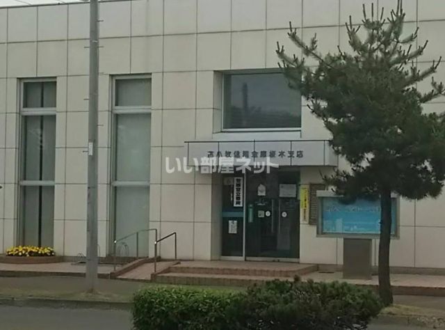 その他　苫小牧信用金庫 桜木支店（その他）まで282m