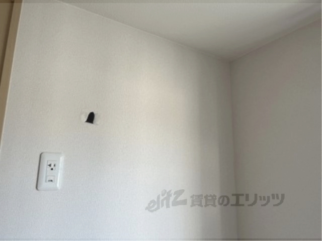 アンジェロCのその他写真