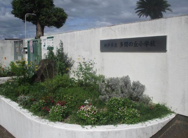 小学校　神戸市立多聞の丘小学校（小学校）まで710m