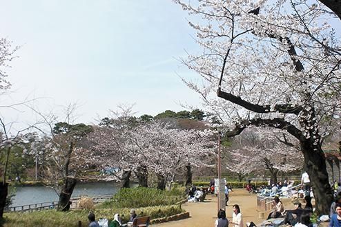 ジードルンク洗足池の周辺写真