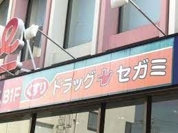ドラックストア　ドラッグセガミ蓮田駅前店（ドラッグストア）まで719m