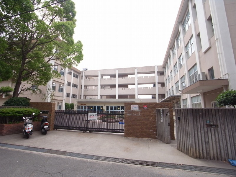小学校　加茂小学校（小学校）まで185m
