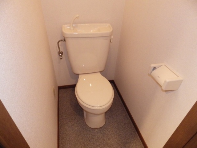 ピセスベルデのトイレ写真