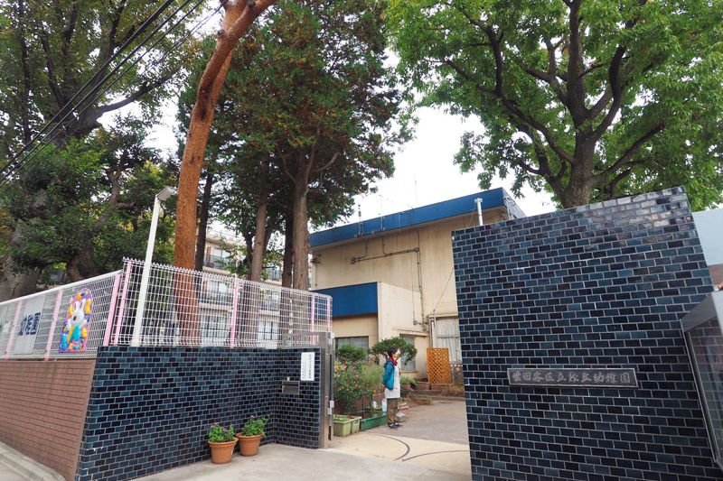 幼稚園・保育園　世田谷区立松丘幼稚園（幼稚園・保育園）まで313m