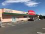 ドラックストア　クスリのアオキ吉岡店（ドラッグストア）まで1100m