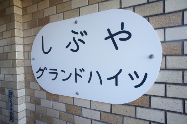 しぶやグランドハイツのその他写真
