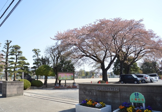 小学校　小山市立大谷北小学校（小学校）まで436m