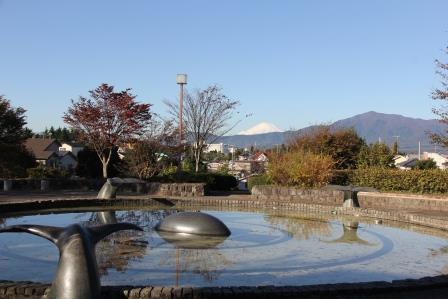 公園　大谷近隣公園（公園）まで4778m