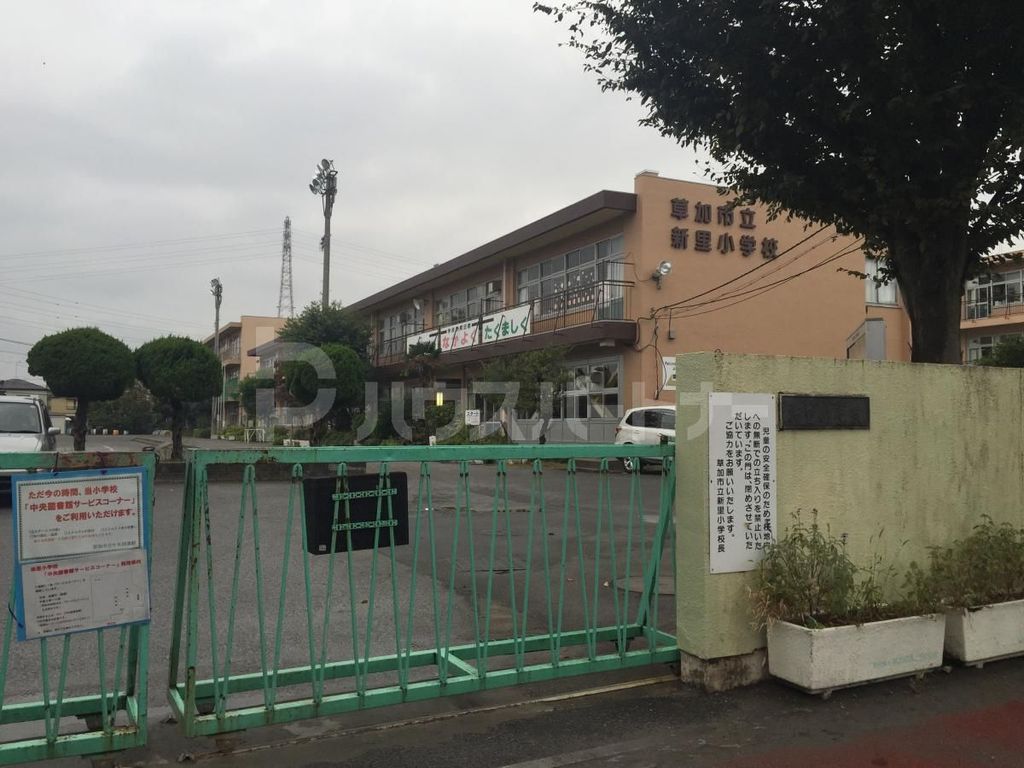 小学校　草加市立新里小学校（小学校）まで540m
