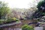公園　有栖川宮記念公園（公園）まで521m