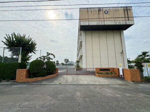 小学校　白木小学校（小学校）まで226m