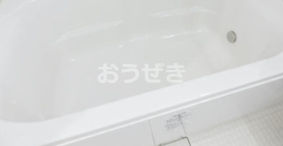 バス・シャワールーム　※同仕様参考写真