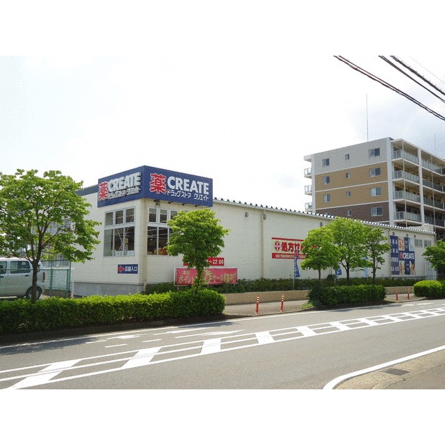 その他　クリエイトＳ・Ｄ伊勢原１丁目店（その他）まで600m