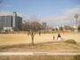 公園　扇町公園（公園）まで923m