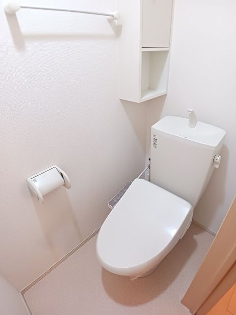 サン・ハーモニーAのトイレ写真