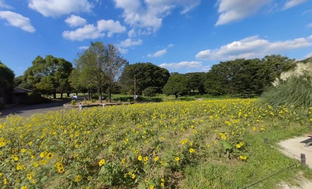 へーベルヴィレッジ立川昭和記念公園~グラン・シャリオ2昭の周辺写真
