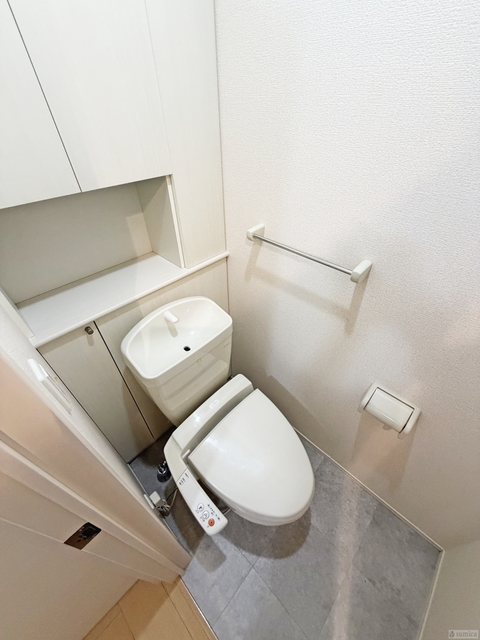 ＪＲ関西本線 志紀駅 徒歩10分 2階建 築17年のトイレ写真