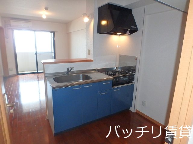 キッチン　別号室写真の為、現況を優先致します。