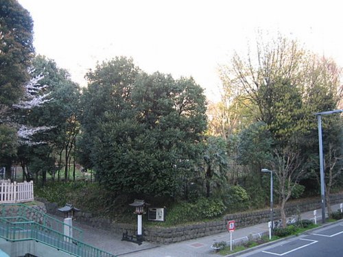 公園　新宿区立新宿中央公園（公園）まで227m