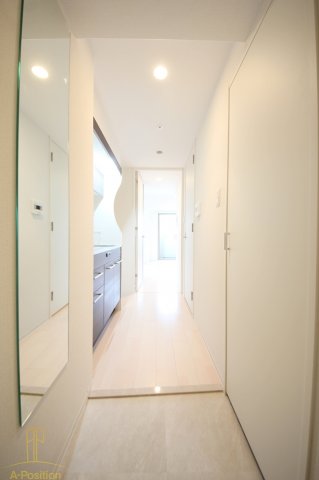 玄関　セレニテ本町ルフレ