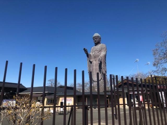 その他　牛久大仏（その他）まで1000m