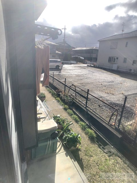 庭