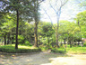 公園　下茶屋街園（公園）まで273m