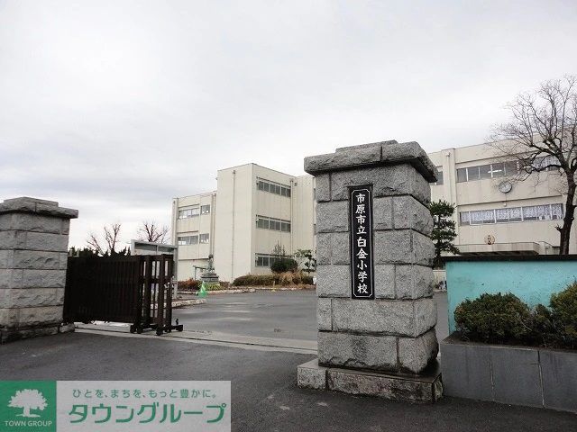小学校　市原市立白金小学校（小学校）まで920m