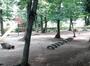 公園　貝戸の森（公園）まで1520m