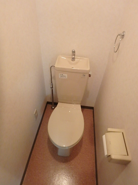 ＪＲ総武線快速 市川駅 徒歩7分 6階建 築21年のトイレ写真