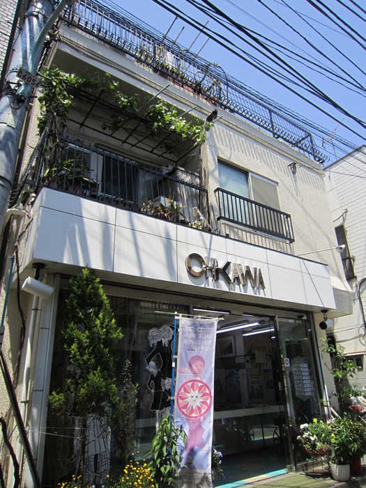 大川マンションの外観写真