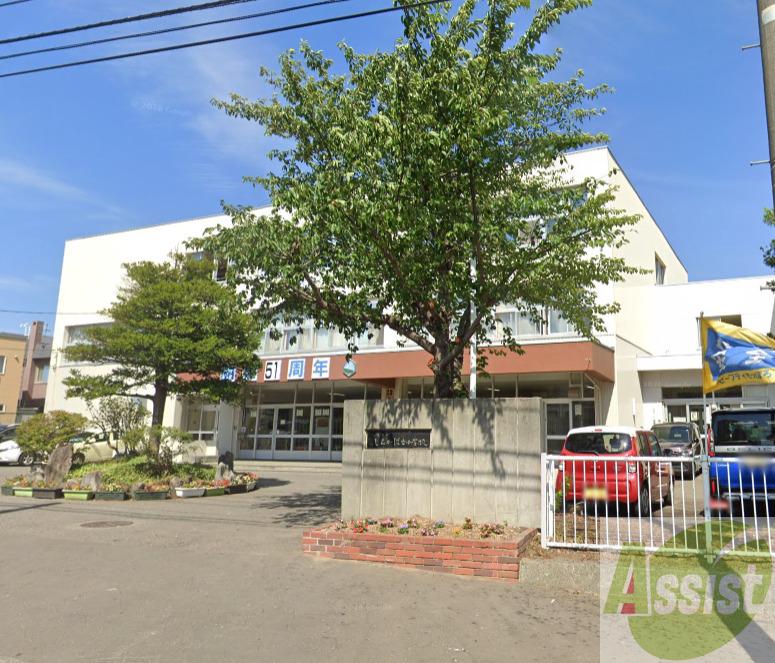 小学校　しらかば台小学校（小学校）まで951m