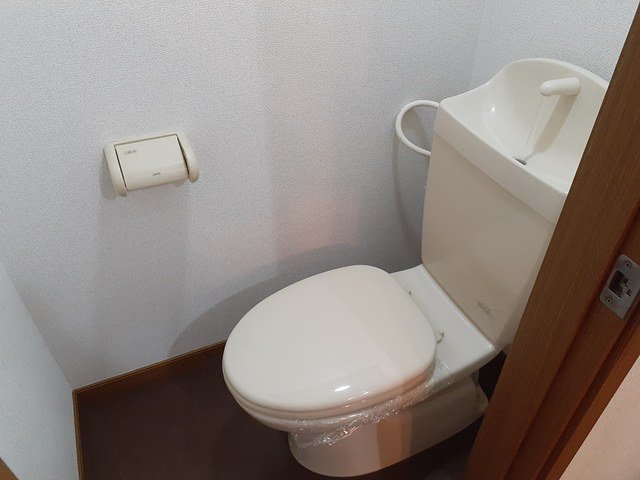 【メゾンラフィーネのトイレ】