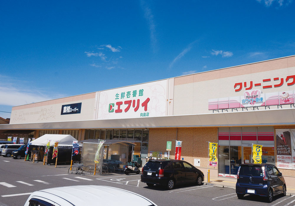 スーパー　業務スーパーエブリイ向島店（スーパー）まで253m