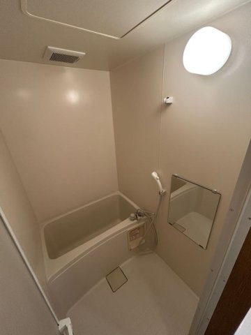 バス・シャワールーム　落ち着いた空間のお風呂です